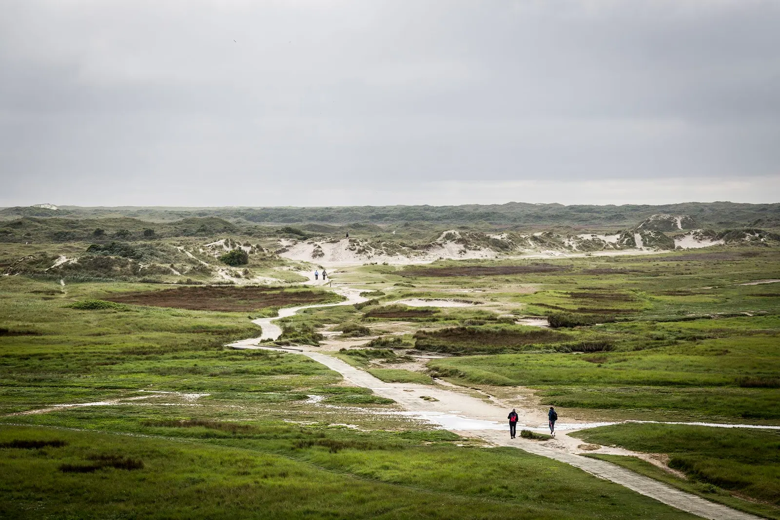 Duinlandschap op Texel met wandelpad